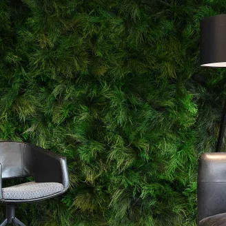 Preserved Tree Fern Dark Green