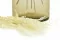Helecho Paraguas preservado Crema 7