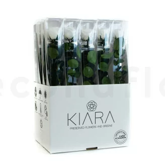 Rosa stabilizzata con stelo 50 cm Bianco - Scatola regalo individuale (x20)