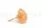 Hortensia stabilis&eacute; Orange Pastel 5