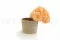 Hortensia preservado Naranja Pastel 3