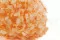 Hortensia stabilis&eacute; Orange Pastel 6