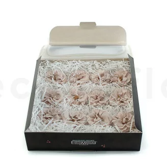 Rosa Selvatica stabilizzata Grigio (x12)
