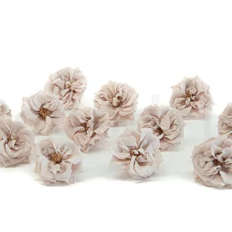 Rosa Silvestre preservada Gris (x12)