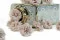 Preserved Wild Rose Grey (x12) 10
