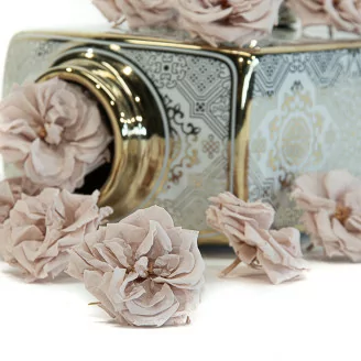 Rosa Silvestre preservada Gris (x12)