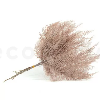 Preserved Mountain Fern Pink