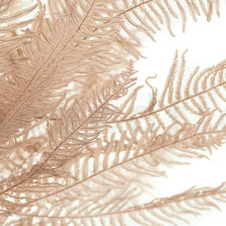 Preserved Mountain Fern Pink