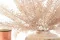 Preserved Mountain Fern Pink 9