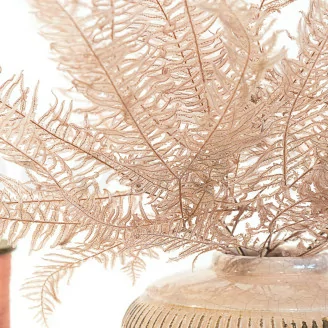 Preserved Mountain Fern Pink