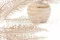 Preserved Mountain Fern Pink 7