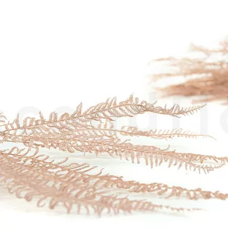 Preserved Mountain Fern Pink