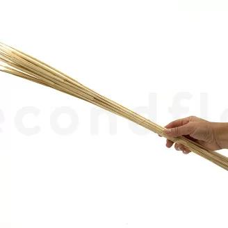 Canna essiccata Bianco (x25)
