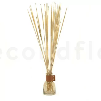 Canna essiccata Bianco (x25)