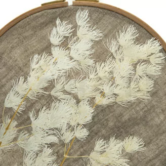 Ming Fern stabilis&eacute; Blanc