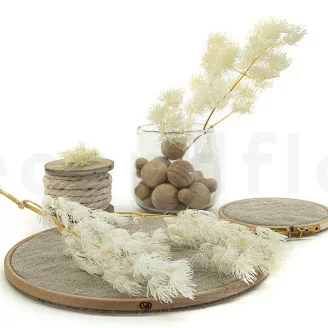 Preserved Ming Fern White