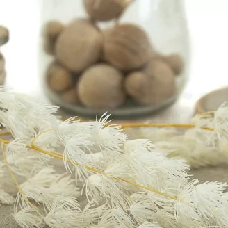 Ming Fern stabilis&eacute; Blanc