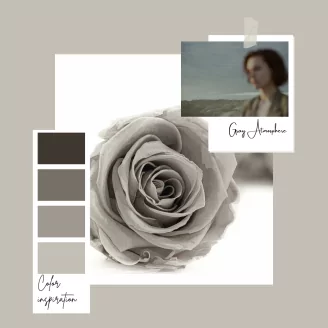 Rosa stabilizzata L Grigio (x8)