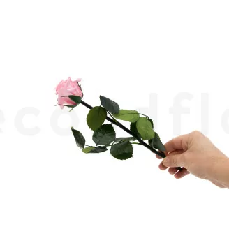 Rosa stabilizzata con stelo 30 cm Rosa Pastello - Scatola regalo individuale (x25)
