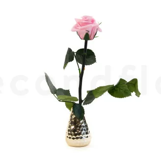 Konservierte Rose mit 30 cm Stiel Pastellrosa - Einzelne Geschenkbox (x25)