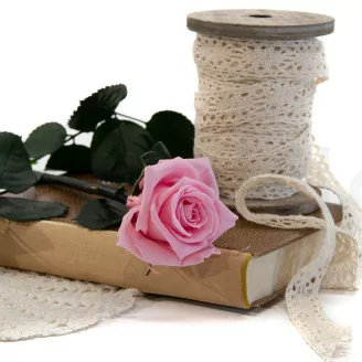 Konservierte Rose mit 30 cm Stiel Pastellrosa - Einzelne Geschenkbox (x25)