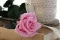 Rose stabilis&eacute;e sur tige 30 cm Rose Pastel - Bo&icirc;te cadeau individuelle (x25) 9