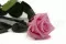 Preserved Rose on stem 30 cm Pastel Pink - Individual Gift Box (x25) 12