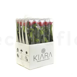 Rosa stabilizzata con stelo 50 cm Rosso - Scatola regalo individuale (x20)