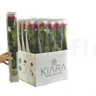 Rosa stabilizzata con stelo 50 cm Rosso - Scatola regalo individuale (x20)