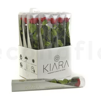 Rosa preservada con tallo 50 cm Rojo - Caja regalo individual (x20)