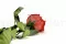 Rose stabilis&eacute;e sur tige 50 cm Rouge - Bo&icirc;te cadeau individuelle (x20) 8
