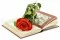 Rose stabilis&eacute;e sur tige 50 cm Rouge - Bo&icirc;te cadeau individuelle (x20) 2