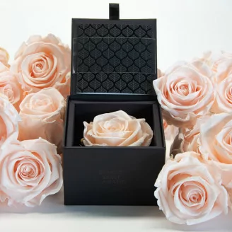 Geschenkset mit konservierten Rosen Rosa