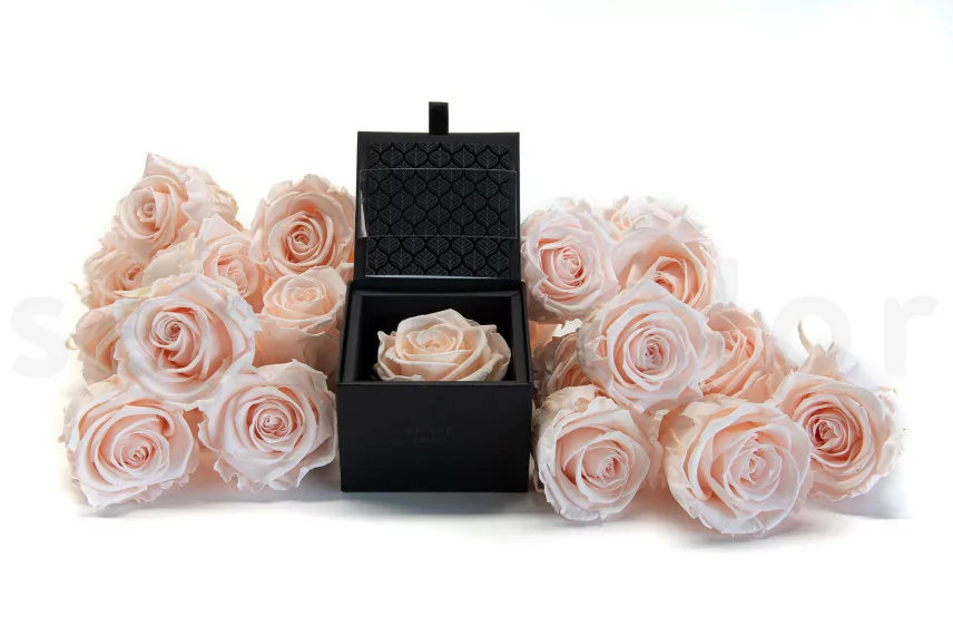 Scatola con rosa stabilizzata Rosa