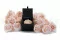 Geschenkset mit konservierten Rosen Rosa 1