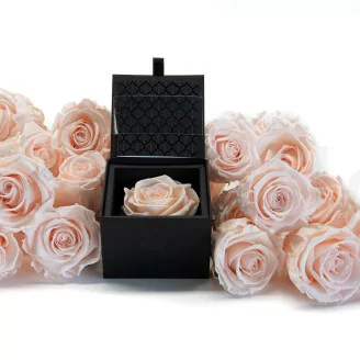 Geschenkset mit konservierten Rosen Rosa