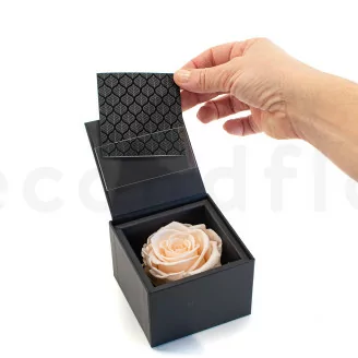 Geschenkset mit konservierten Rosen Rosa