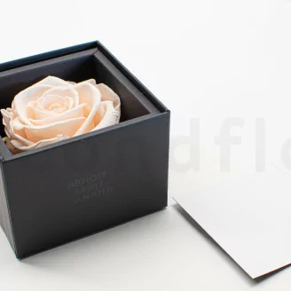Geschenkset mit konservierten Rosen Rosa