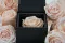 Preserved rose in a box Pink 10