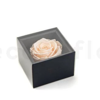 Geschenkset mit konservierten Rosen Rosa
