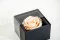 Coffret Rose stabilis&eacute;e Rose 8