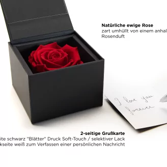 Geschenkset mit konservierten Rosen Rosa