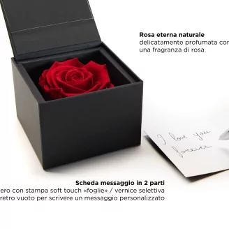 Scatola con rosa stabilizzata Rosa