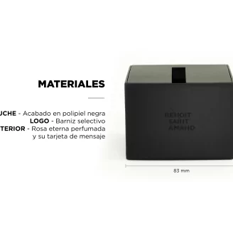 Rosa preservada en caja Rosa