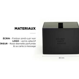 Coffret Rose stabilis&eacute;e Rose