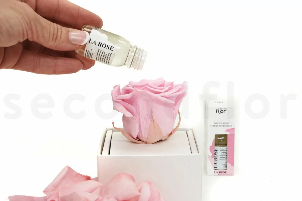 Perfume For Eternal Flowers - Bottle 15ml/0.5 fl.oz. - La Rose