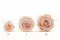 Preserved Rose XL Pink Blush (x6) 10