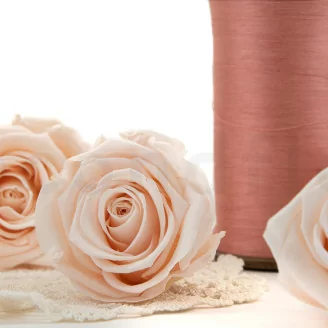 Rose stabilis&eacute;e XL Pink Blush (x6)