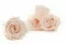 Rosa preservada XL Pink Blush (x6) 8