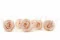 Rosa stabilizzata XL Pink Blush (x6) 3